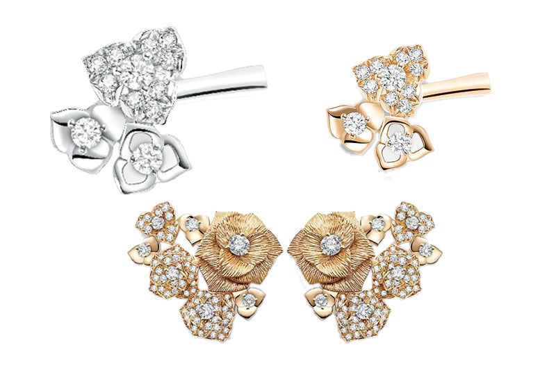 การผลิบานครั้งใหม่ของหมู่มวลกุหลาบ‘อีฟ เพียเจต์ โรส’