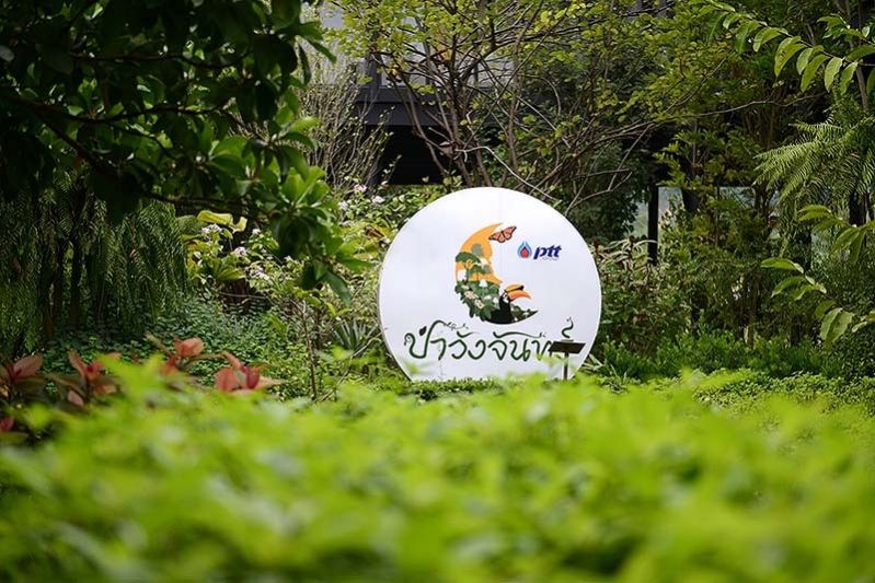 ‘ศูนย์เรียนรู้ป่าวังจันทร์’ แหล่งศึกษาธรรมชาติ-ท่องเที่ยวเชิงนิเวศ