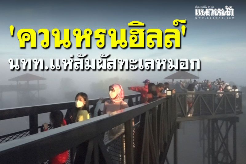เช็คอิน! สกายวอร์ค 'ควนหรนฮิลล์' สัมผัสทะเลหมอก ที่นาทวี สงขลา