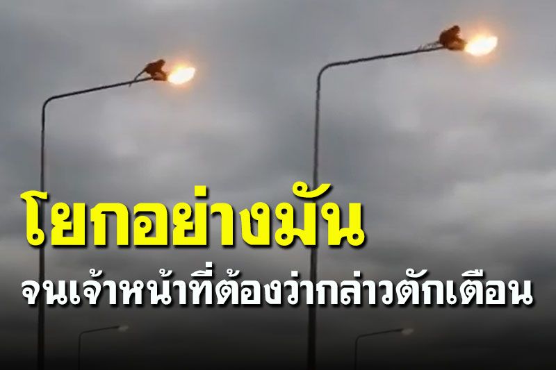 อย่างมัน! พบ'เจ้าจ๋อ' บนทางด่วนโยกเสาไฟ จนท.ถึงขึ้นต้องตักเตือน (คลิป)