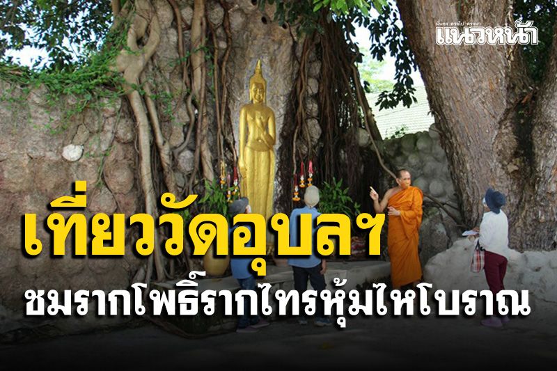 เที่ยววัดอุบลฯดำเนินสะดวดชมความงามรากโพธิ์รากไทรรัดหุ้มไหโบราณอายุเกือบร้อยปี