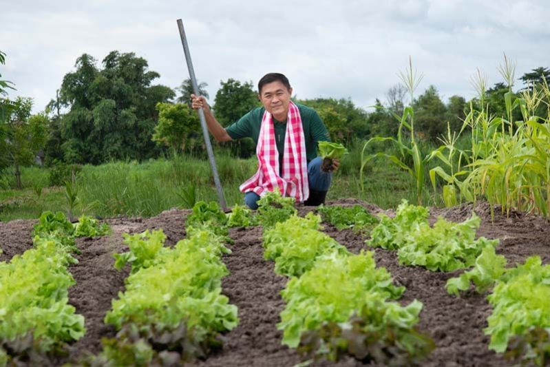 ‘วิลล่า ฟอเรสต์’ โครงการชุมชนเมืองคุณภาพ-ต้นแบบชีวิต วิถี-ดี ตามรอยแนวคิด โคกหนองนา ธรรมชาติร่มรื่นสู่โลกร่มเย็น