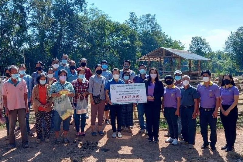 กฟก.น่าน มอบเงินกู้ปลอดดอกเบี้ย ส่งเสริมการเลี้ยงวัว