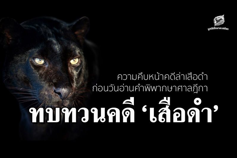 มูลนิธิสืบฯ ทบทวน 'คดีเสือดำ' ละเอียดยิบจากจุดเริ่มต้นจนถึงจะมีคำพิพากษาศาลฎีกา 8 ธ.ค.นี้