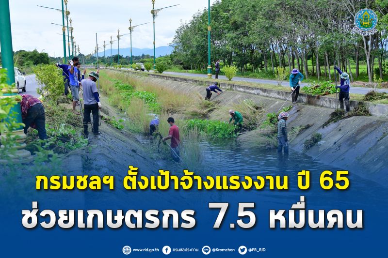 ช่วยเกษตรกร! กรมชลฯเดินเครื่องจ้างแรงงานปี 65 เป้าหมาย 7.5 หมื่นคน