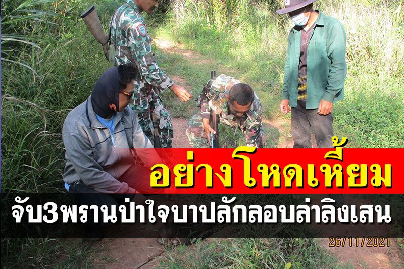 จับ3พรานป่าใจบาป! ล่า'ลิงเสน'ใช้เถาวัลย์มัดคอซากลากออกจากป่าอย่างโหด