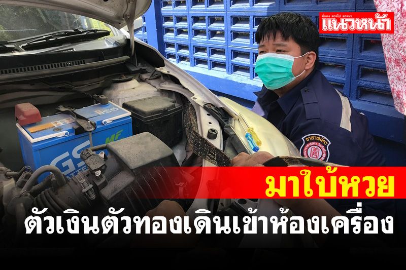 สงสัยมาใบ้หวย! รถชนจอดรอประกันจู่ๆ ตัวเงินตัวทองเดินเข้าไปในห้องเครื่องรถ