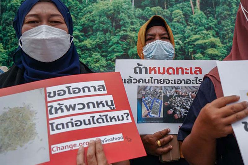 หวั่น‘ทะเลไทย’ไม่เหลืออะไรให้ลูกหลาน วอน‘ซูเปอร์มาร์เก็ต’เลิกขาย‘สัตว์น้ำวัยอ่อน’