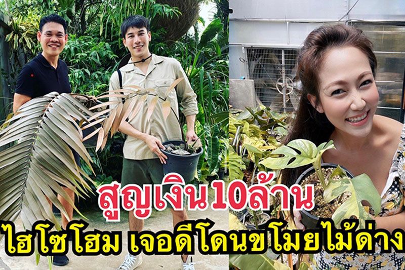 'ไฮโซโฮม'เพื่อนร่วมก๊วน'ไฮโซน้ำหวาน'เจอดีโดนขโมยต้นไม้ด่าง สูญเงินนับ 10 ล้าน