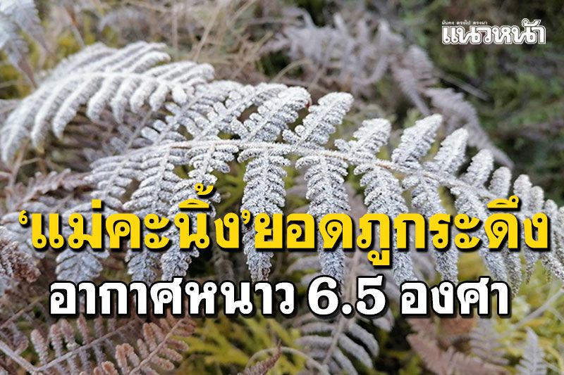 'ภูกระดึง'หนาวมาก 6.5 องศา 'แม่คะนิ้ง'ขาวโพลนเป็นวันที่2