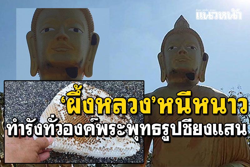 'ฝูงผึ้งหลวง'หนีหนาว แห่ทำรังรับแสงแดด ทั่วองค์พระพุทธรูปชียงแสน