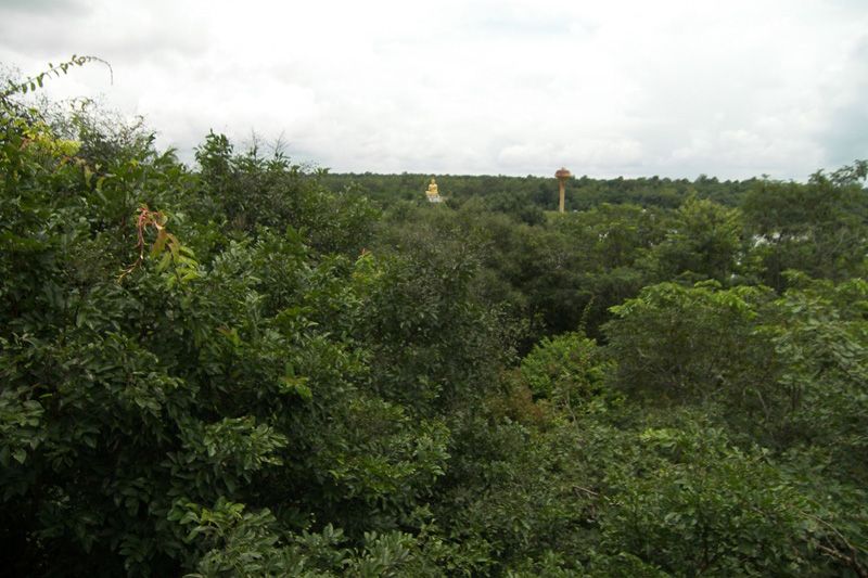 วันหยุด 3 วันพาเที่ยว 'นาทีเดียวเที่ยว 3 จังหวัด' ยอดภูสระดอกบัวที่อำนาจเจริญ