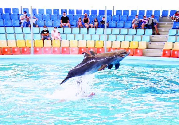 ชวนชิม ชวนช็อป ชวนใช้ ชวนชม : 11ธันวาคม 2564