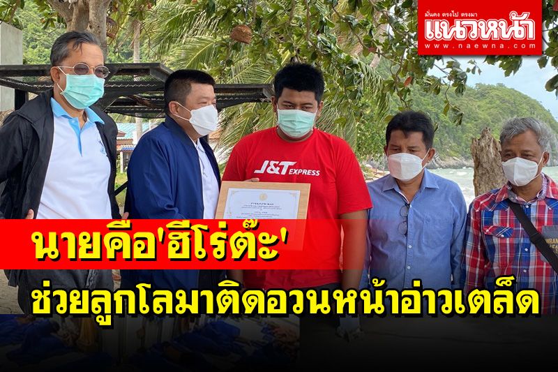 ชื่นชม 'ฮีโร่ต๊ะ' ช่วยลูกโลมาติดอวนหน้าอ่าวเตล็ดทำความดีปกป้องสัตว์ทะเลเลี้ยงลูกด้วยนม