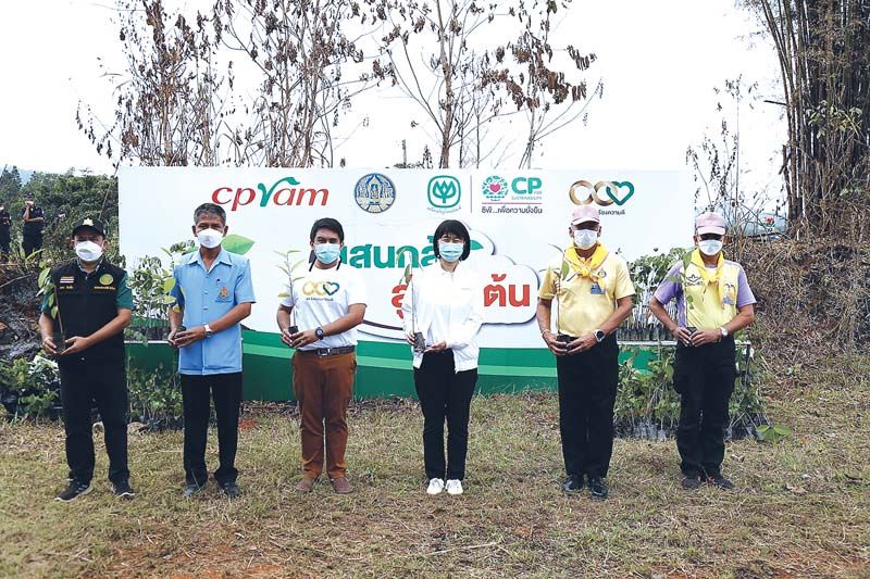 ซีพีแรม-เครือเจริญโภคภัณฑ์ ปลูกต้นไม้ยืนต้นต่อเนื่อง  เพิ่มพื้นที่สีเขียวบนผืนแผ่นดินไทย เพื่อโลกยั่งยืน