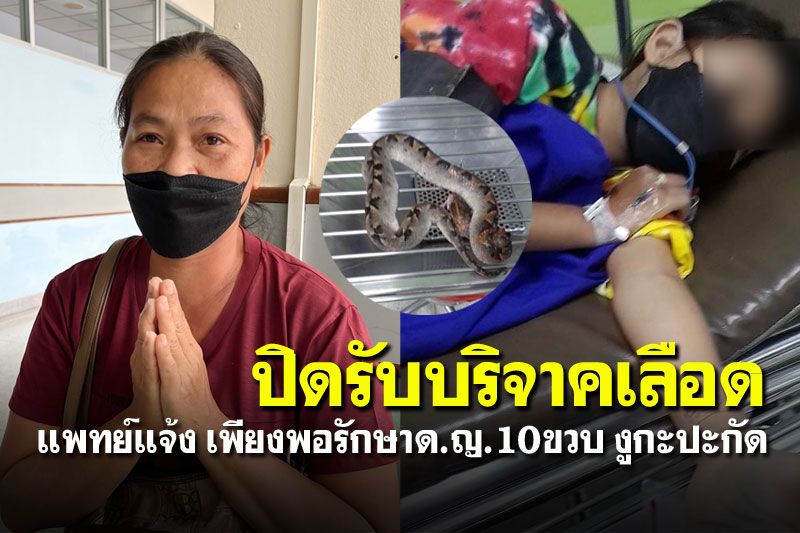แห่ให้เลือด! เด็ก10ขวบถูกงูกะปะกัด แพทย์แจ้งขอปิดรับก่อน