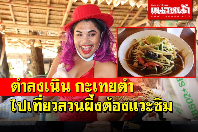 เที่ยวสวนผึ้งแวะชิมส้มตำลงเนินฝีมือกะเทยตำริมถนนสายสวนผึ้ง-ตะโกล่างสุดแซ่บ