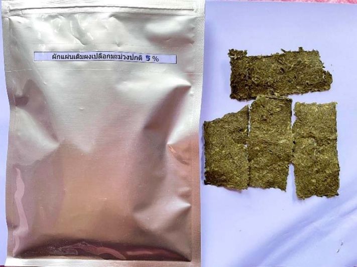 ราชภัฎเชียงใหม่พัฒนาเศษเหลือทิ้งมะม่วง เป็น'แผ่นผักลดระดับน้ำตาลในเลือด'