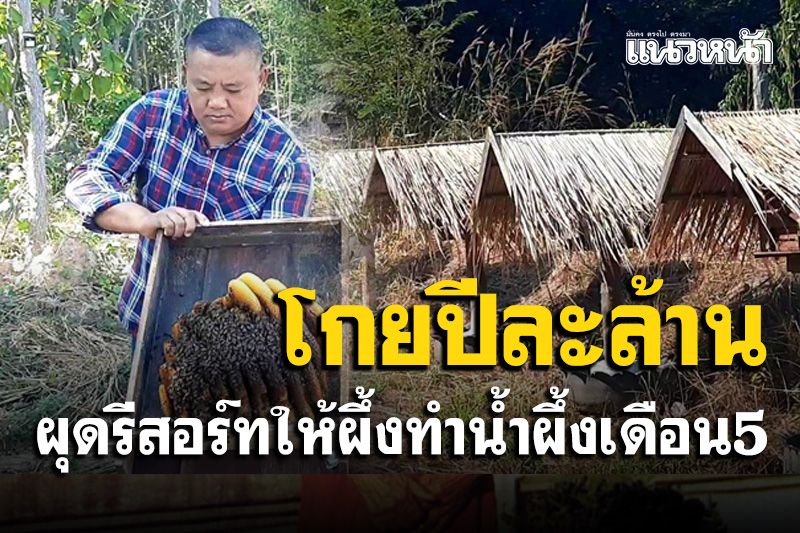 หนุ่มใหญ่ไอเดียเจ๋ง! สร้างรีสอร์ทให้ผึ้งป่าทำน้ำผึ้งเดือนห้าสร้างรายได้กว่าล้านบาทต่อปี