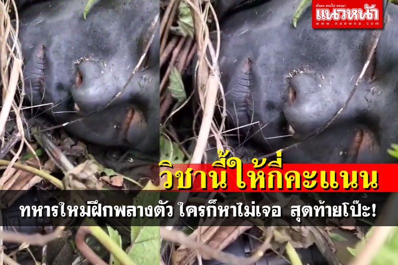 เนียนจัด! ไปดูทหารใหม่ ฝึกพลางตัวได้ผล อ้าว..แต่เก็บเสียงไม่อยู่