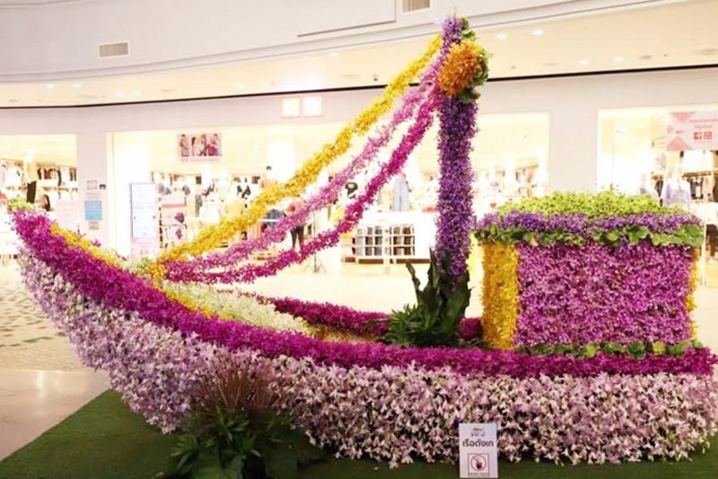 คนชอบกล้วยไม้ห้ามพลาด! เริ่มแล้วงาน 'มหัศจรรย์กล้วยไม้สมุทรสาคร'