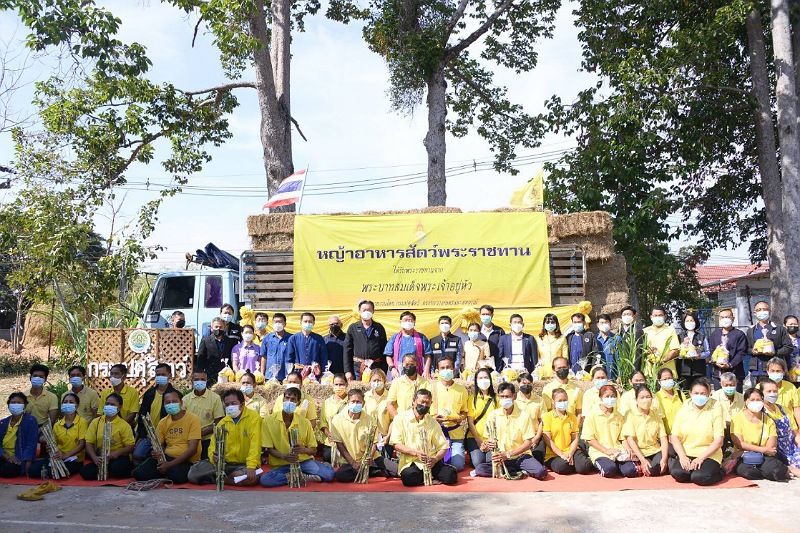 ประพัตร มอบโค 'โครงการธนาคารโค - กระบือ เพื่อเกษตรกร ตามพระราชดำริ'