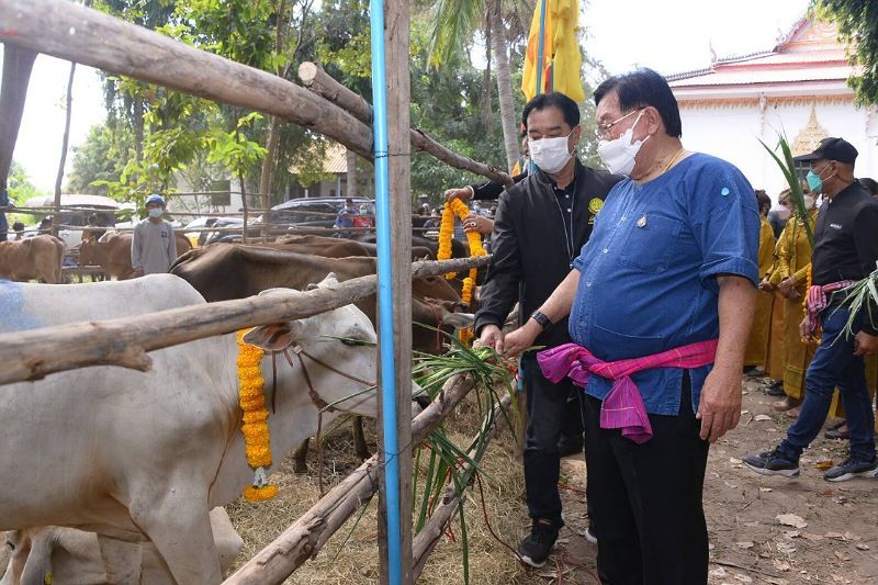 ประพัตร นำทีมมอบโคในโครงการธนาคารโค - กระบือ เพื่อเกษตรกร ตามพระราชดำริ เพื่อช่วยเหลือเกษตรกร