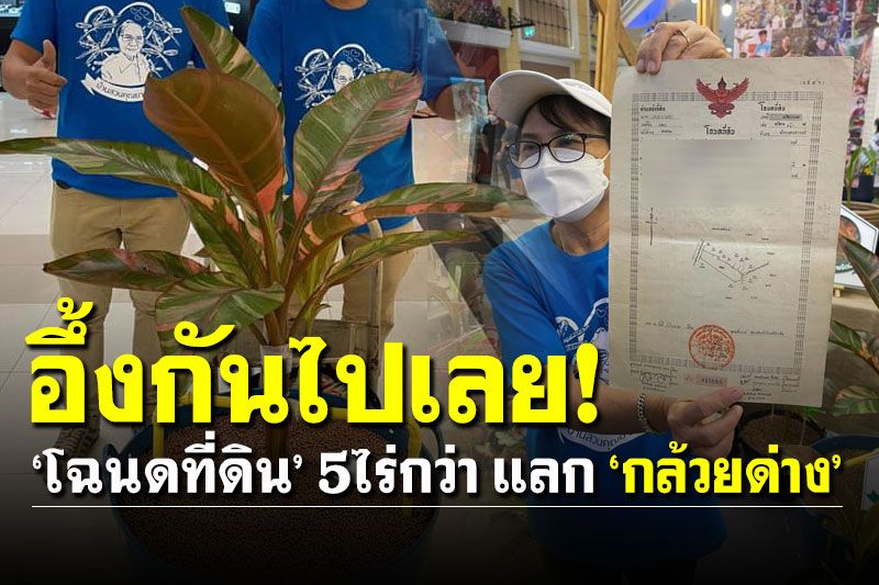 ฮือฮาอีก!  'โฉนดที่ดิน 5 ไร่กว่า' แลก 'กล้วยด่าง' คนรักต้นไม้อึ้งกันไปเลยงานนี้