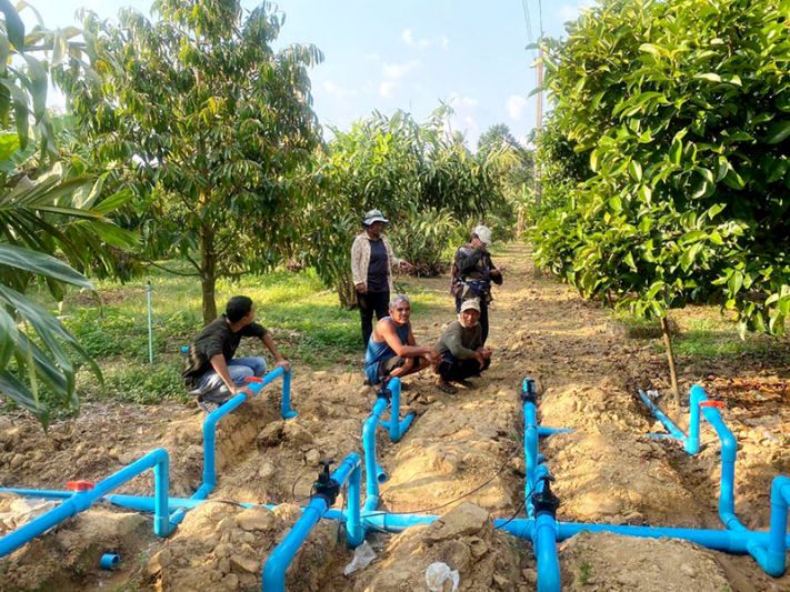 มรภ.นครฯ หนุน Smart Farming สวนมังคุด วิจัยลดการใช้น้ำ เพิ่มผลผลิต ป้องกันเพลี้ยไฟ