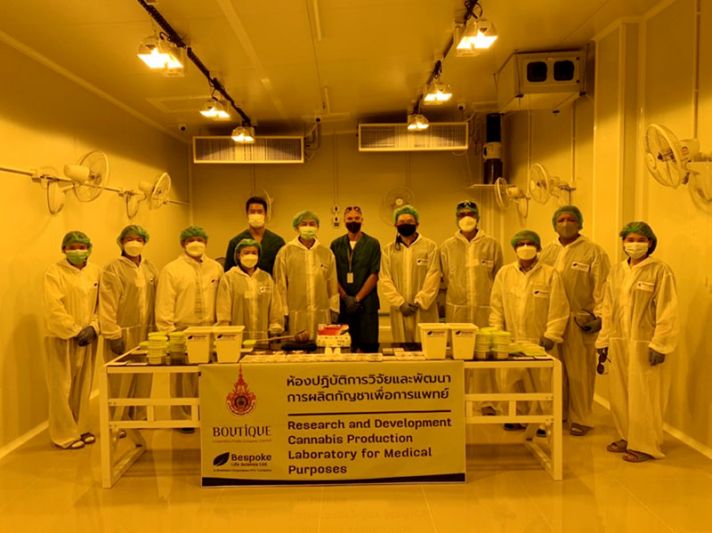 มทร.ล้านนา น่าน เตรียมขยายพื้นที่  ปลูกและผลิตกัญชาเพื่อการแพทย์