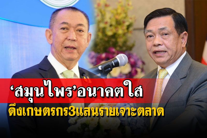 ‘สมุนไพร’อนาคตใส! เปิดโมเดลปั้นสู่พืชเศรษฐกิจ ดึงเกษตรกร3แสนรายเจาะตลาด