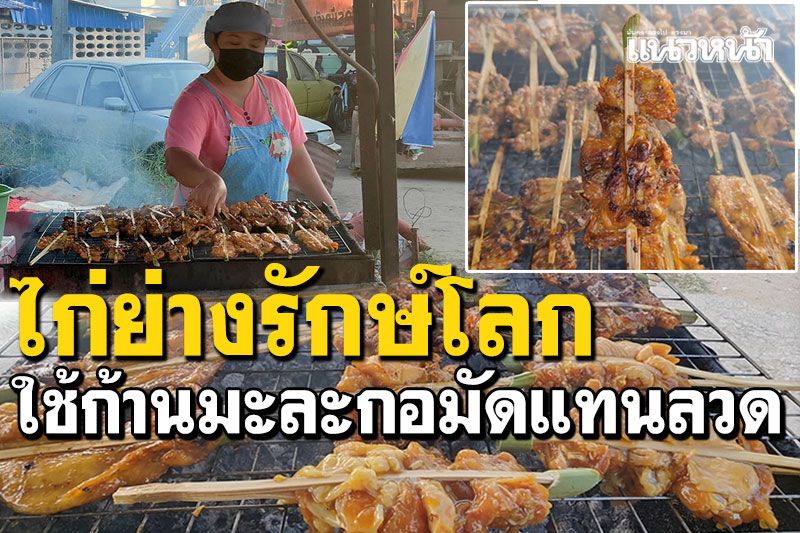 พาไปชิม! 'ไก่ย่างรักษ์โลก'ใช้ก้านมะละกอมัดแทนลวด ปลอดภัยอร่อยด้วย