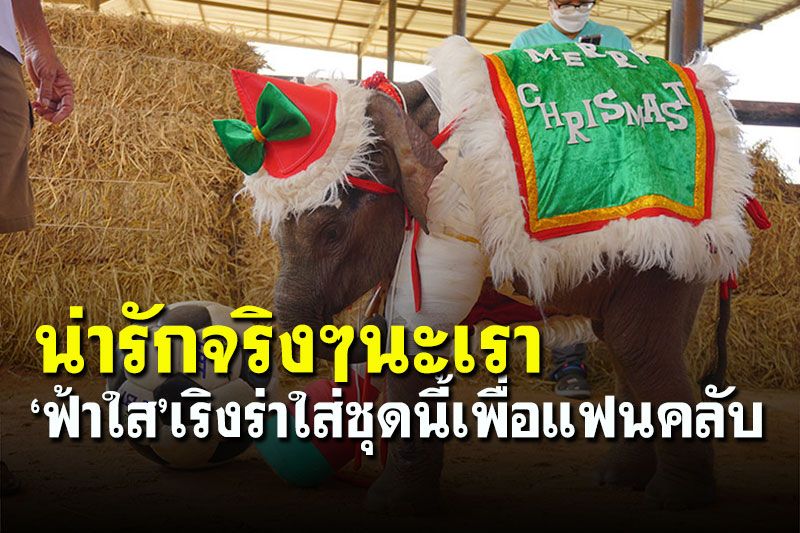 ชมภาพสุดน่ารัก!!! 'พังฟ้าใส'แต่งชุดซานต้ารับวันคริสต์มาสโชว์แฟนคลับ
