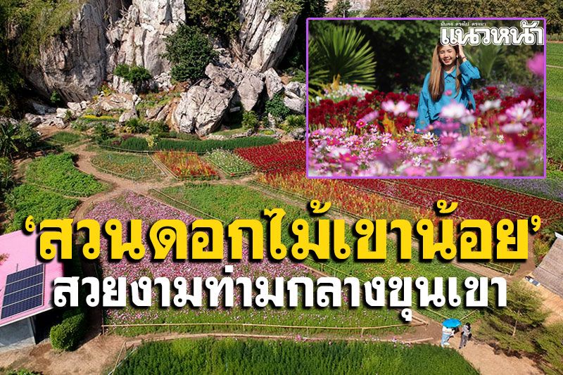เที่ยวชม'สวนดอกไม้เขาน้อย'บ้านมุง สวยงามท่ามกลางขุนเขา