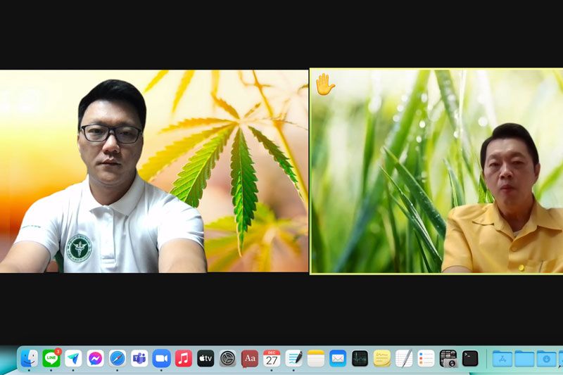 สธ.เร่งเดินหน้าวิจัย สนับสนุนเอกชนขึ้นทะเบียนผลิตภัณฑ์สุขภาพจากกัญชา-กัญชง