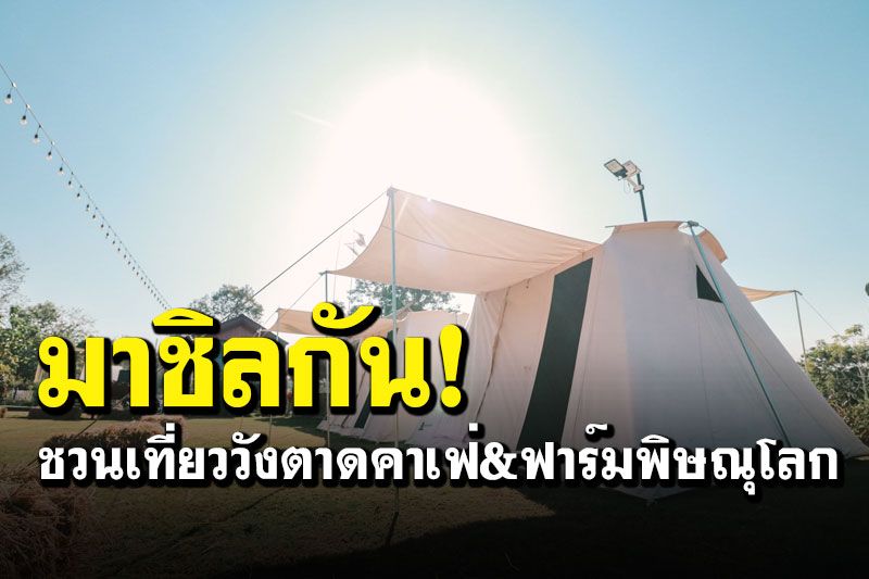 เที่ยวชิลๆ วังตาดคาเฟ่&ฟาร์ม ชวนนทท.สัมผัสธรรมชาติ ชมฟาร์มสัตว์-ขี่ม้า