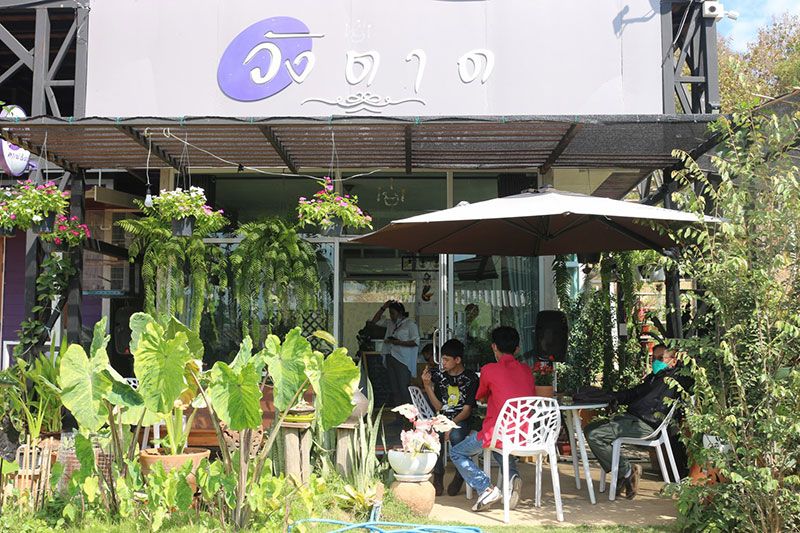 สกู๊ปพิเศษ : ‘วังตาดคาเฟ่ & ฟาร์ม’ ชวนสัมผัสธรรมชาติ  เที่ยวชมฟาร์มสัตว์ ขี่ม้า เลี้ยงนมแพะ ที่พิษณุโลก
