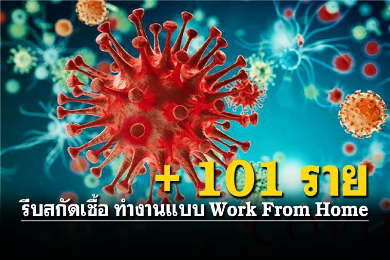 'สงขลา'โควิดพุ่ง101ราย  เตรียมรับในกลุ่มเด็กต่ำกว่า12ปี ทำงานแบบWFH