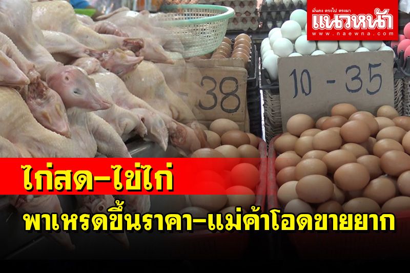 'ไก่สด-ไข่ไก่' ยกขบวนพาเหรดขึ้นราคาแม่ค้าตลาดทรัพย์สินสงขลาโอดขายยาก