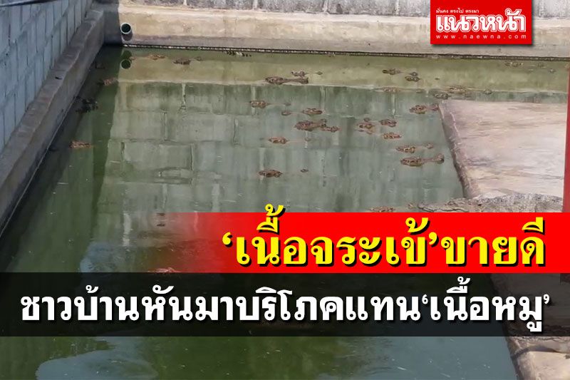 กลับมาขายดี! ชาวบ้านแห่ซื้อเนื้อจระเข้บริโภคยุคหมูแพง ราคาหน้าฟาร์มเริ่มโลละ120