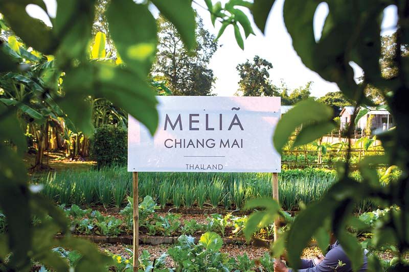 โรงแรม มีเลีย เชียงใหม่ จับมือ ออริจิ้น เดอะกัวร์เม่ ฟาร์ม  ตอบโจทย์คนรักสุขภาพด้วยผลผลิตจากฟาร์มออร์แกนิค