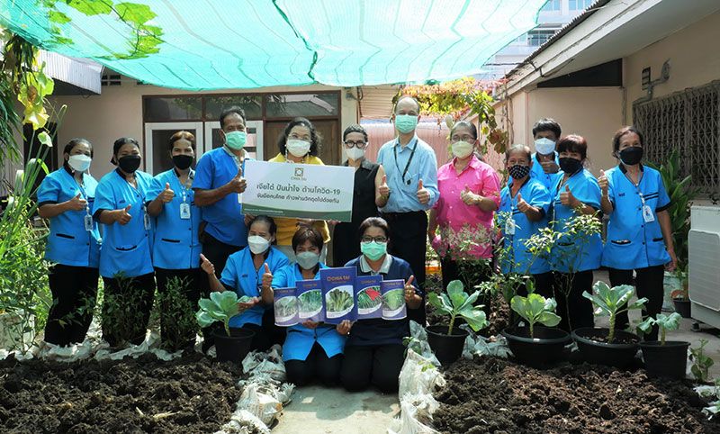 เจียไต๋ เดินหน้าสร้างความมั่นคงทางอาหาร  เปลี่ยนดาดฟ้าเป็นสวนผักในเมือง บรรเทาผลกระทบโควิด-19