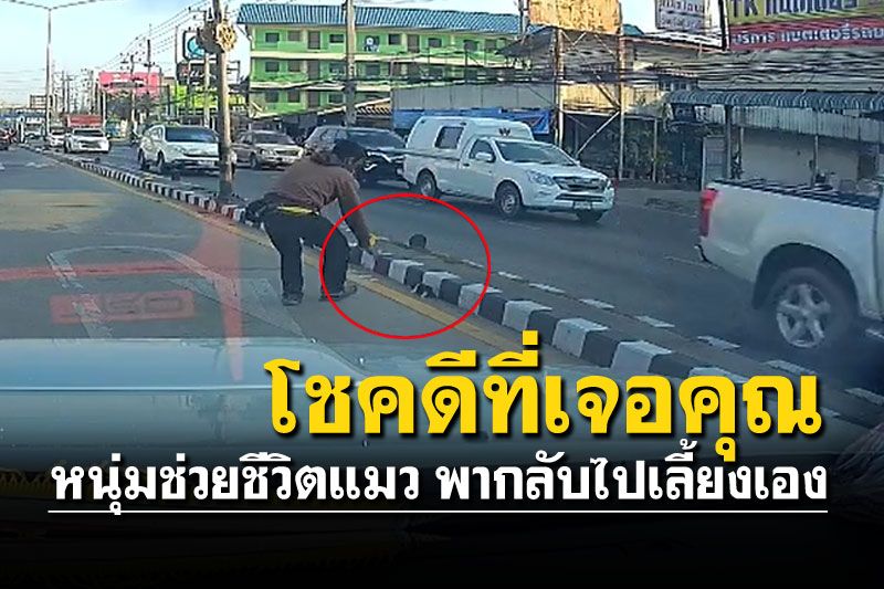 (คลิป) ดีต่อใจ!! 2หนุ่มรีบจอดรถช่วยชีวิตลูกแมว แถมบอกจะกลับไปเลี้ยงเอง