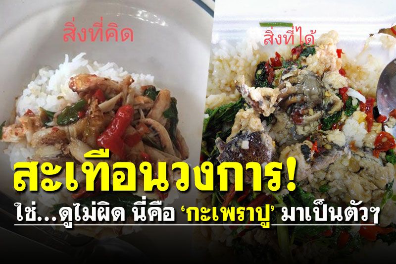 ไม่ผิดแน่ๆ! หนุ่มสั่งข้าว 'กะเพราปู' เห็นแล้งอึ้ง 'ไม่ใช่ตรงไหนเอาปากกามาวง'