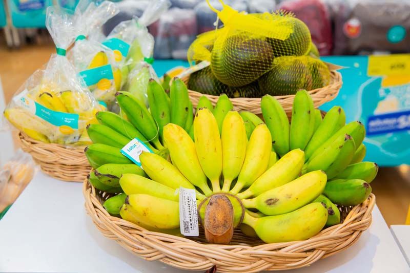 โลตัส จับมือกระทรวงพาณิชย์ ต่อยอด'แพลทฟอร์มแห่งโอกาส'