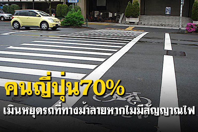 อึ้ง! คนญี่ปุ่น70%เมินหยุดรถที่ทางม้าลายหากไม่มีสัญญาณไฟ