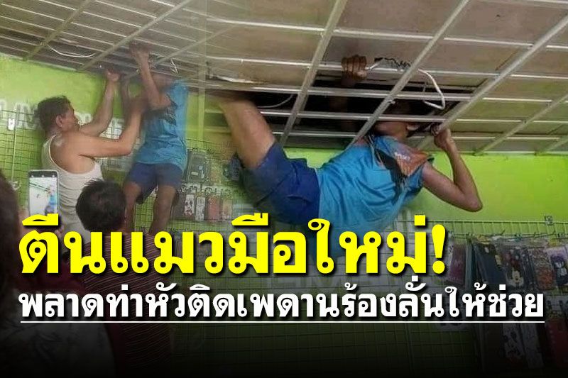 กรรมติดจรวด! ตีนแมววัยรุ่นพลาดท่าหัวติดเพดานร้องลั่นให้ช่วย