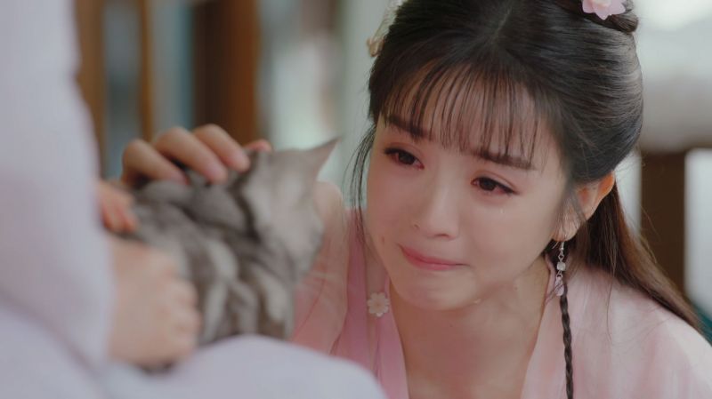 ทาสแมวห้ามพลาด! ซีรีส์ 'Be My Cat'  'เซียวข่ายจง-เถียนซีเวย'ควงคู่พาฟิน!