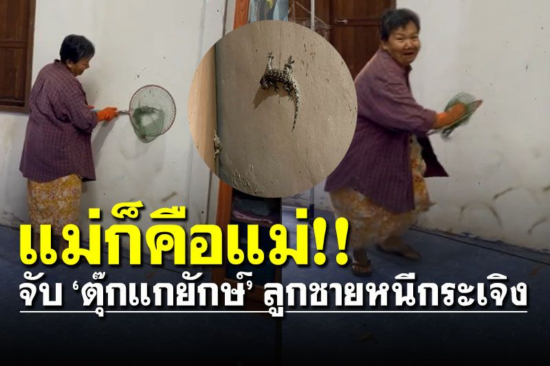 คุณแม่ชนะเลิศ! จับตุ๊กแกยักษ์เข้าบ้าน ลูกชายกรี๊ดดด!! หนีกระเจิง