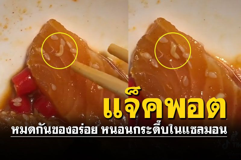 สาวซื้อแซลมอนดองร้านประจำ เจอหนอนกระดึ๊บ..เล่นซะอิ่มเลย!